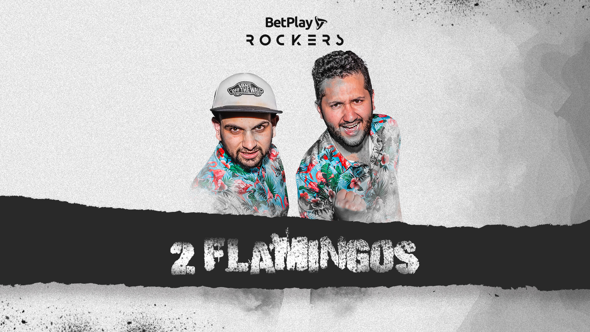 2 flamingos